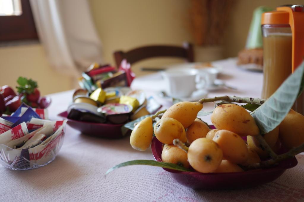Bed And Breakfast Le Camelie Alghero Ngoại thất bức ảnh