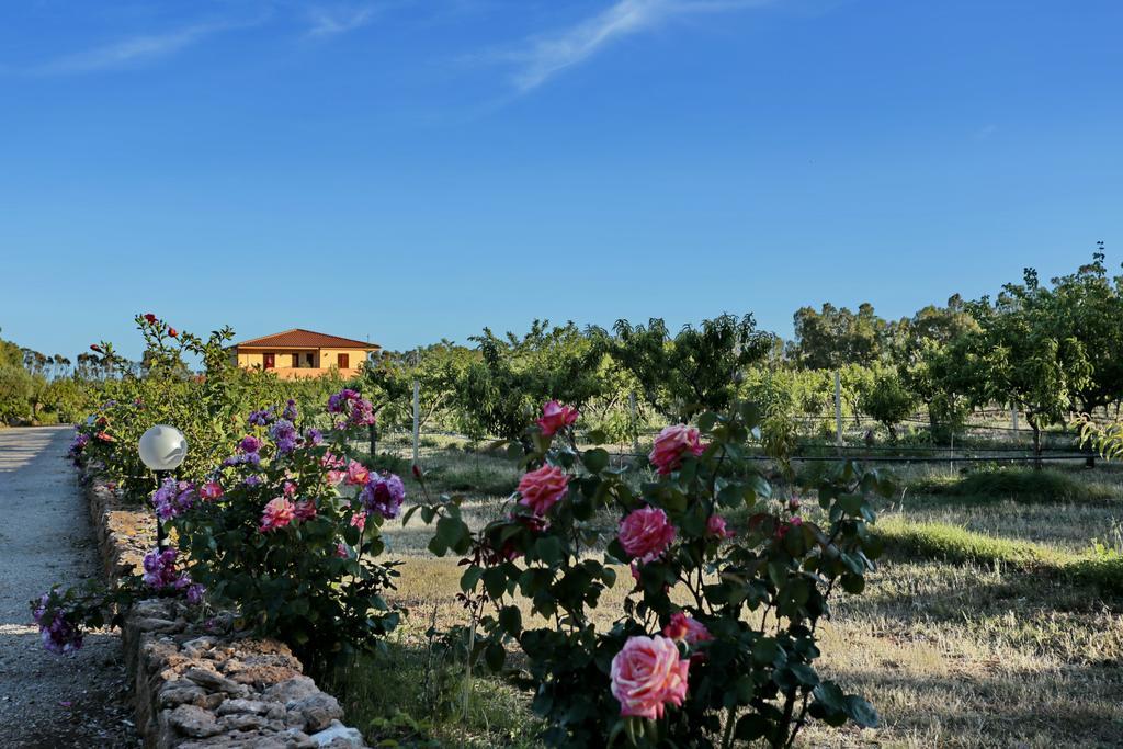 Bed And Breakfast Le Camelie Alghero Ngoại thất bức ảnh